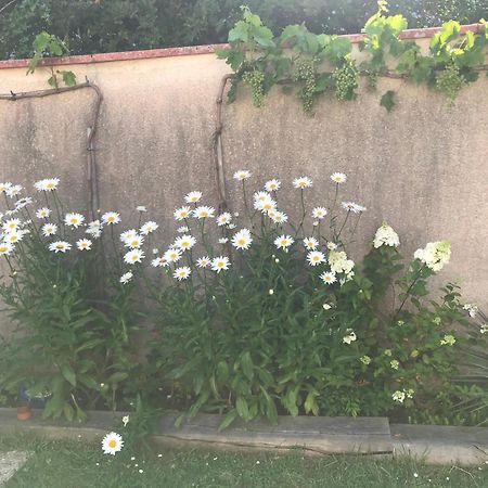 达克斯La Croix Blanche住宿加早餐旅馆 外观 照片